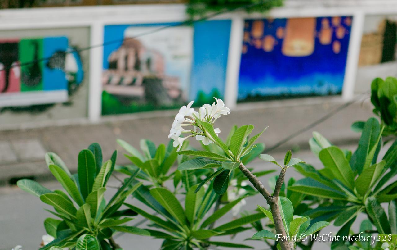 Meesuk Boutique House Hotel Chiang Mai Buitenkant foto